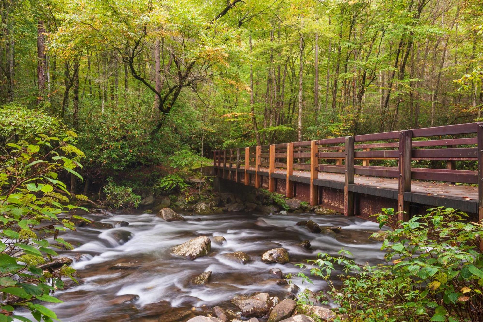 Hidden Creek, Pool Table, Hot Tub, 1089 Free Tickets Each Paid Day, Dollywood And More Gatlinburg Exterior foto